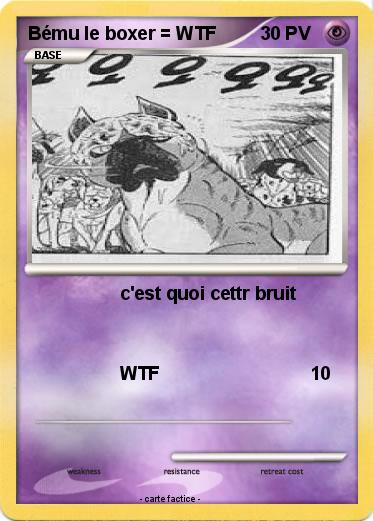 Pokemon Bému le boxer = WTF