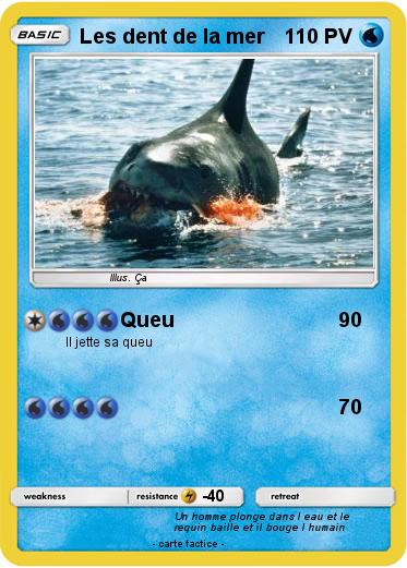 Pokemon Les dent de la mer