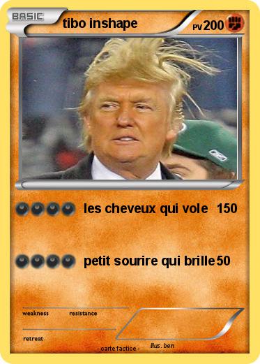 Pokemon tibo inshape