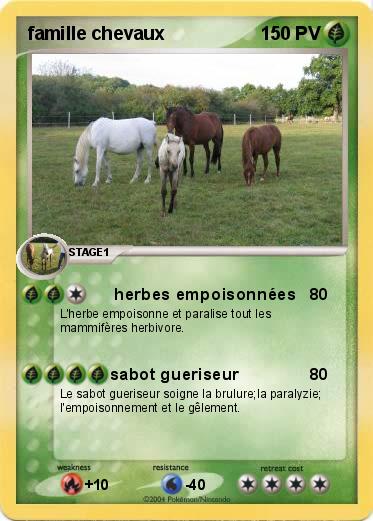 Pokemon famille chevaux