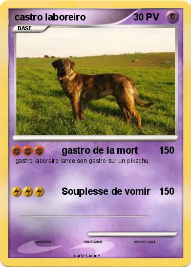 Pokemon castro laboreiro