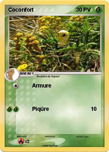 Pokemon Coconfort