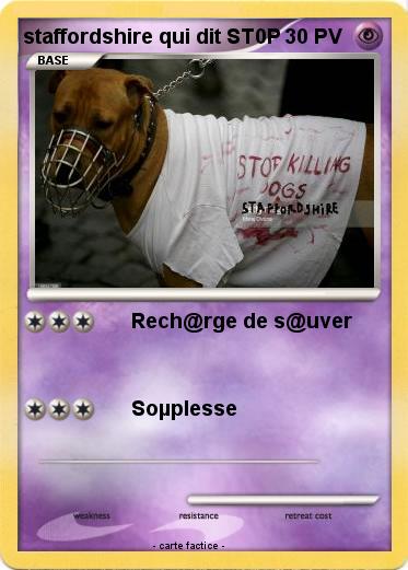Pokemon staffordshire qui dit ST0P