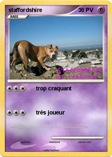 Pokemon staffordshire