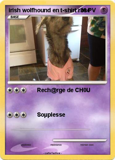 Pokemon irish wolfhound en t-shirt rose
