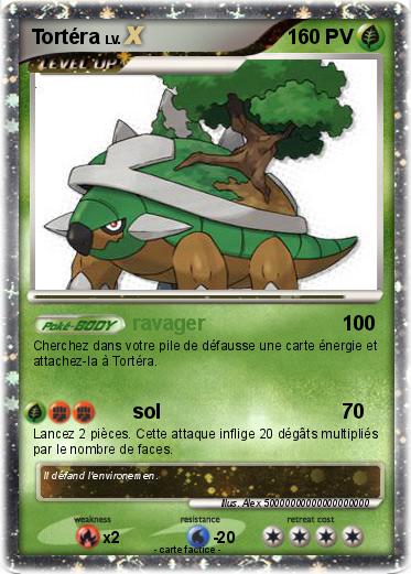 Pokemon Tortéra