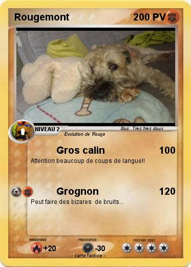 Pokemon Rougemont