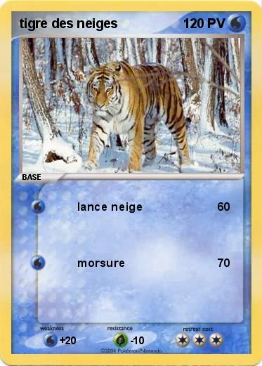 Pokemon tigre des neiges