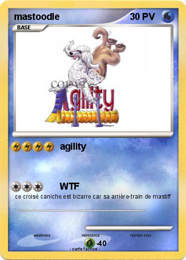 Pokemon mastoodle