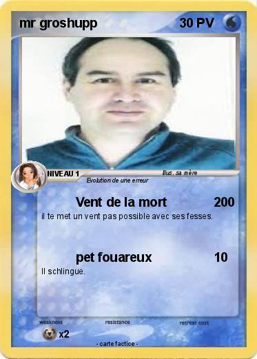 Pokemon mr groshupp
