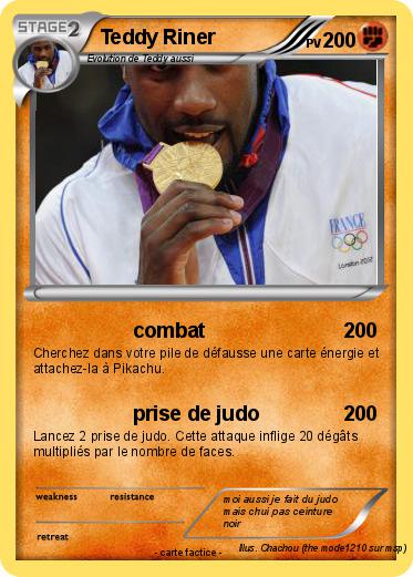 Pokemon Teddy Riner