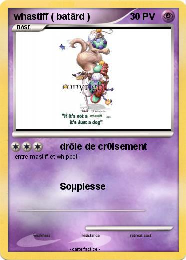 Pokemon whastiff ( batârd )
