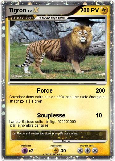 Pokemon Tigron