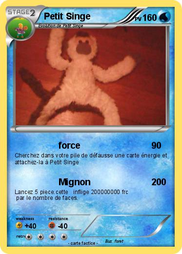 Pokemon Petit Singe