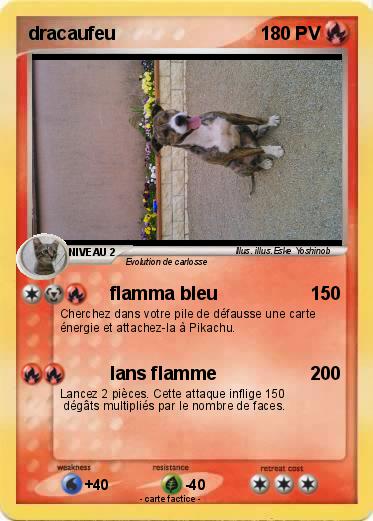 Pokemon dracaufeu