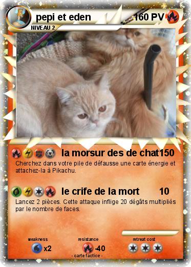 Pokemon pepi et eden