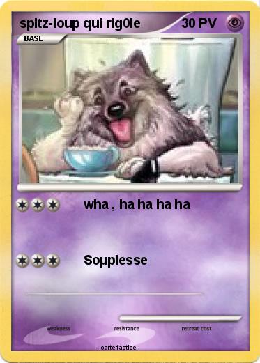 Pokemon spitz-loup qui rig0le