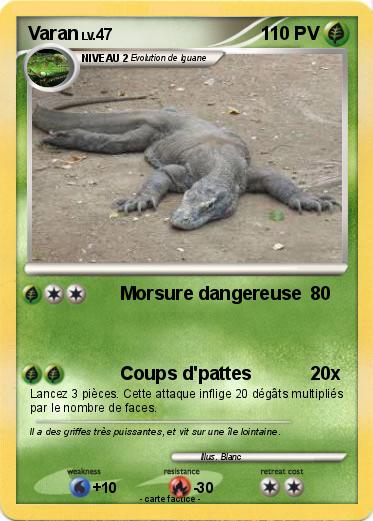 Pokemon Varan