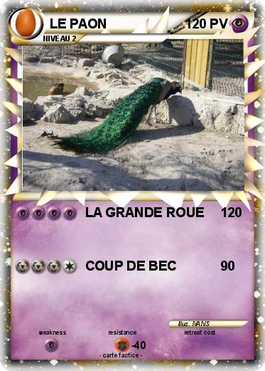 Pokemon LE PAON