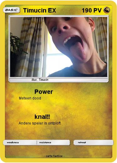 Pokemon Timucin EX