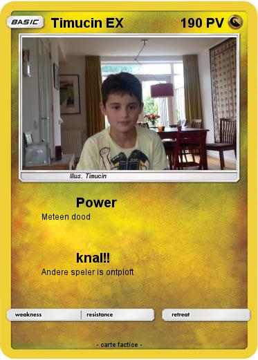 Pokemon Timucin EX