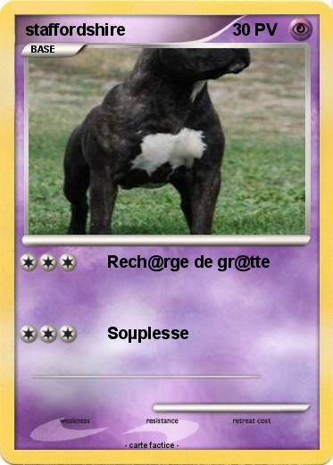 Pokemon staffordshire