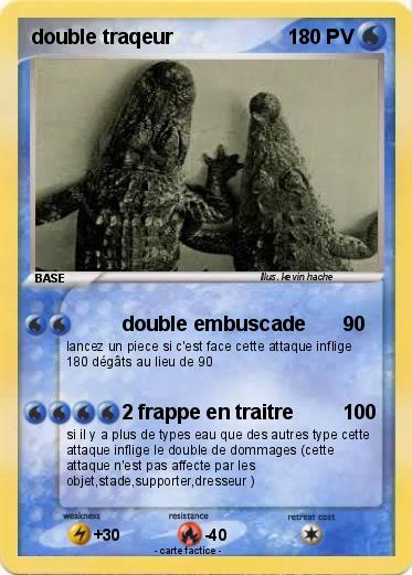 Pokemon double traqeur