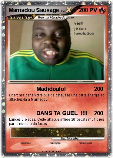 Pokemon Mamadou Sauvage