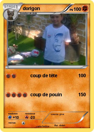 Pokemon dorigon