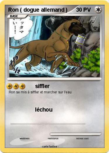 Pokemon Ron ( dogue allemand )