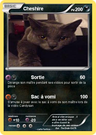 Pokemon Cheshire