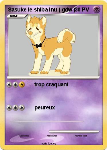 Pokemon Sasuke le shiba inu ( gdw )