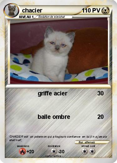 Pokemon chacier