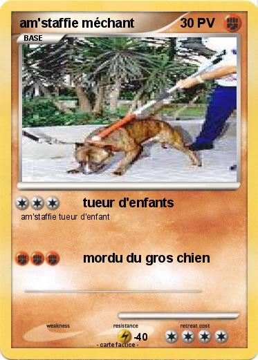 Pokemon am'staffie méchant