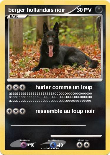 Pokemon berger hollandais noir