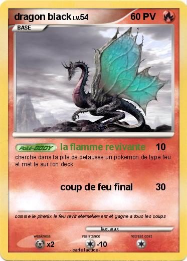 Pokemon dragon black