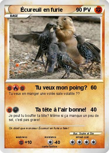 Pokemon Écureuil en furie