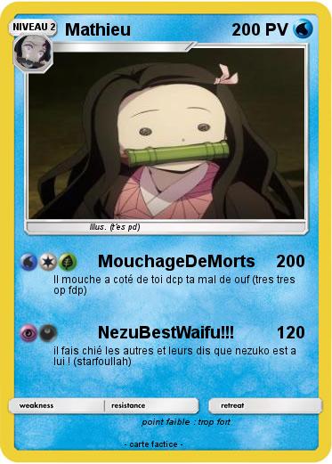 Pokemon Mathieu