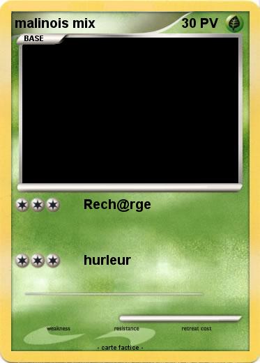 Pokemon malinois mix