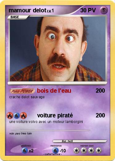 Pokemon mamour delot