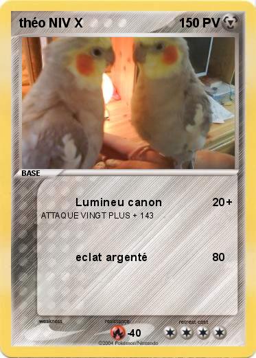 Pokemon théo NIV X