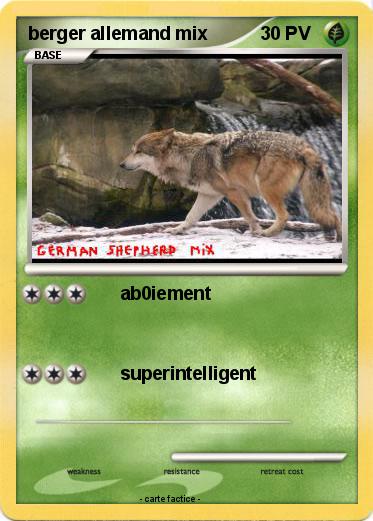 Pokemon berger allemand mix