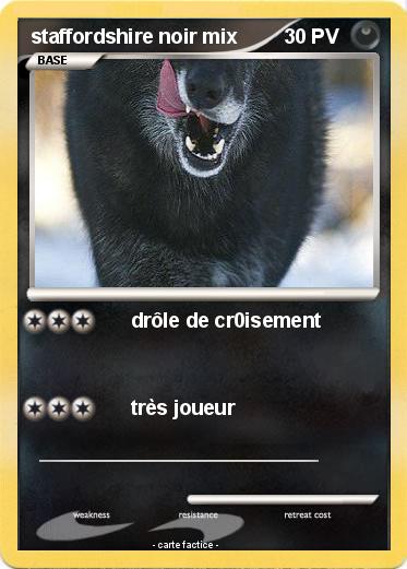 Pokemon staffordshire noir mix
