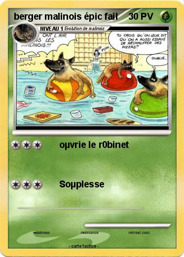 Pokemon berger malinois épic fail