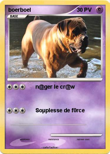 Pokemon boerboel