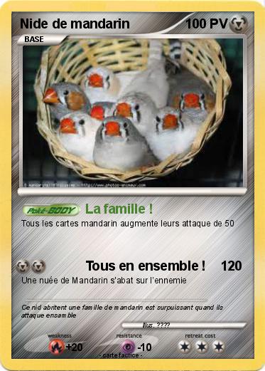 Pokemon Nide de mandarin