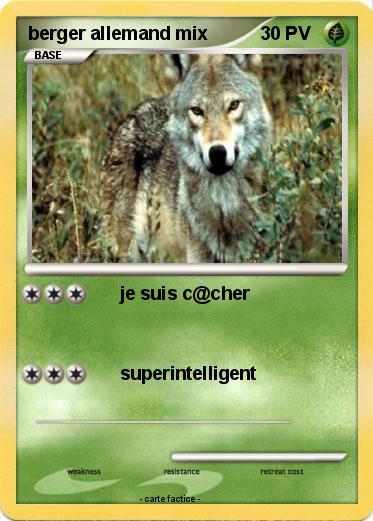 Pokemon berger allemand mix