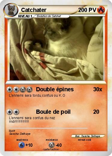Pokemon Catchater