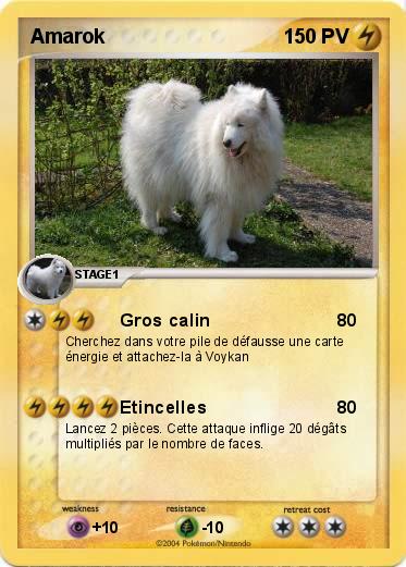 Pokemon Amarok