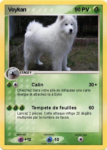 Pokemon Voykan